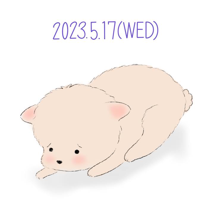 9222eb71 dac2 4092 b84c 57dfda47acf1 1684330058309