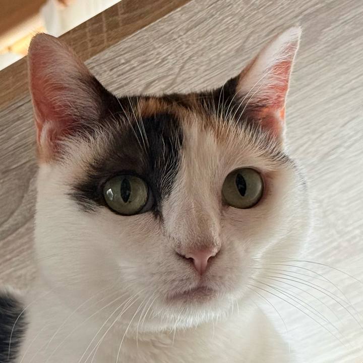 9223324e 7af6 4b97 af45 a94b8fd2bd1f 1755563446604