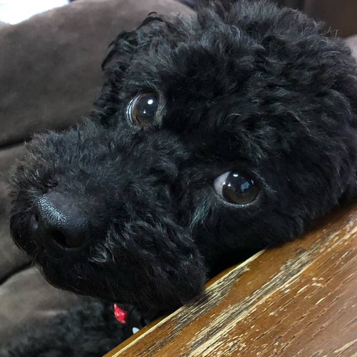 9223597a 1e9d 4a38 8ed8 64bf13bbed98 1555278701865