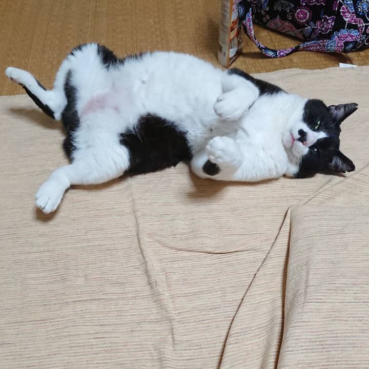 92235bfd 9103 4aea 9a37 05d749a51f26 1604917638977