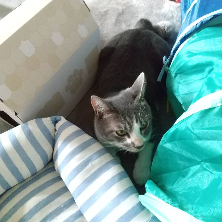 92235fd1 ae94 43bf bfbb 78a3b6b6b8a6 1596325676696