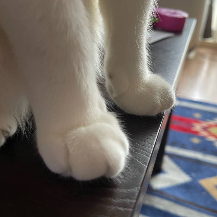 9223ba24 6357 46be a95f 8b4fef09bd1f 1660279464422