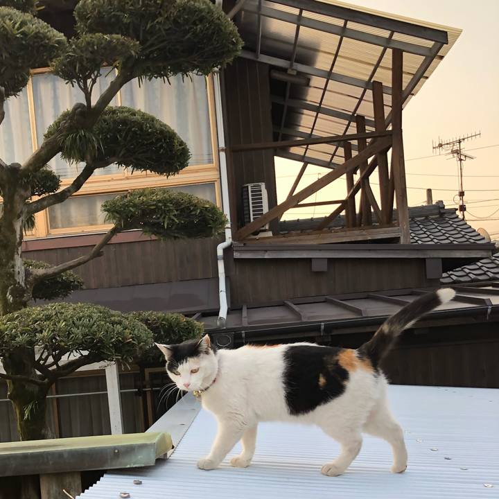 9223ca18 fbd5 4b77 bb25 00e71c8bd695 1616105478321