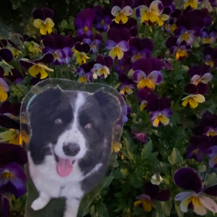 922400f1 ef00 4a09 9ecf b48c1e032bef 1772703939045