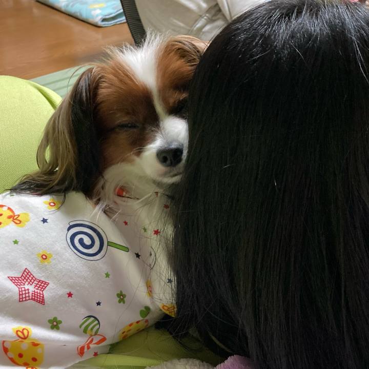 92243eaf 091a 43a8 8c83 abcf209c58bf 1636551548952