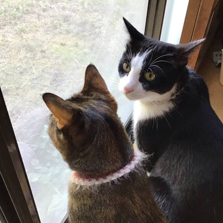 922453a7 12db 4120 9de3 74e68206d52b 1655021607781