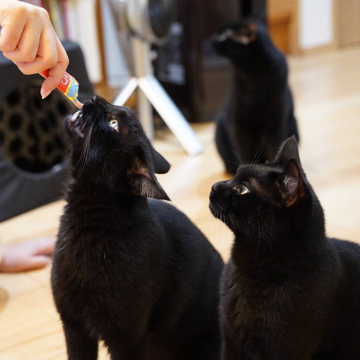 92247378 f79e 4209 8669 0dc9b0434836 1567431869618