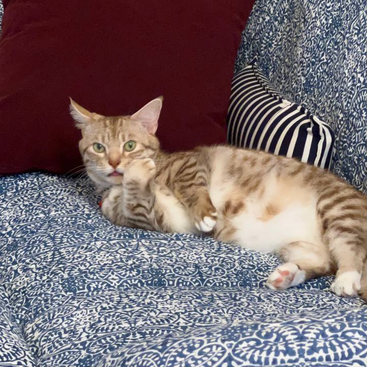 92247b50 06c9 4824 bd3e 7cf13d77131d 1693916463720