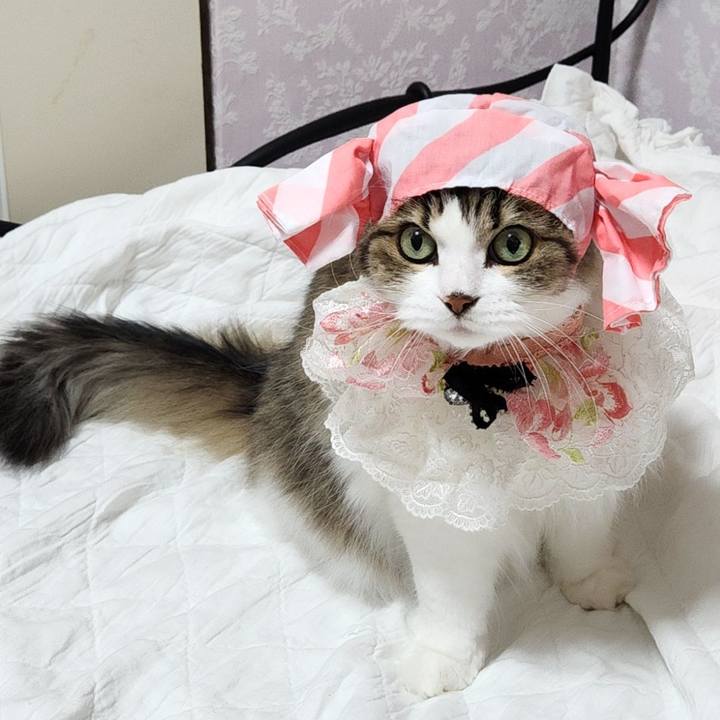 9224a0b9 2693 44d8 b377 4ea1bbecece9 1751115837710