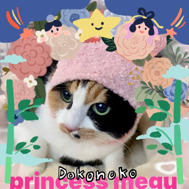 9224aa06 3292 4f78 b771 65ffb3e65dba 1721009754265