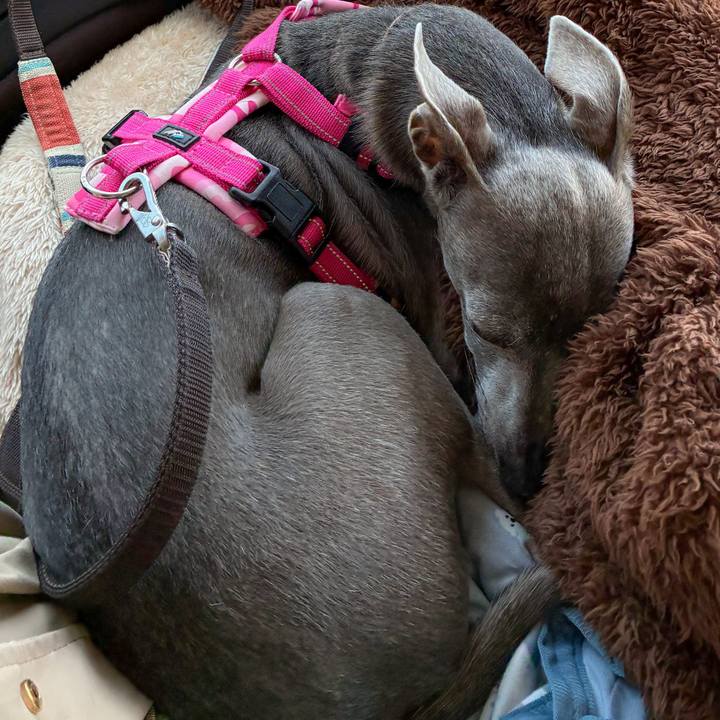 9224acaa 718e 4def 8be8 7ca119273c76 1777028134448