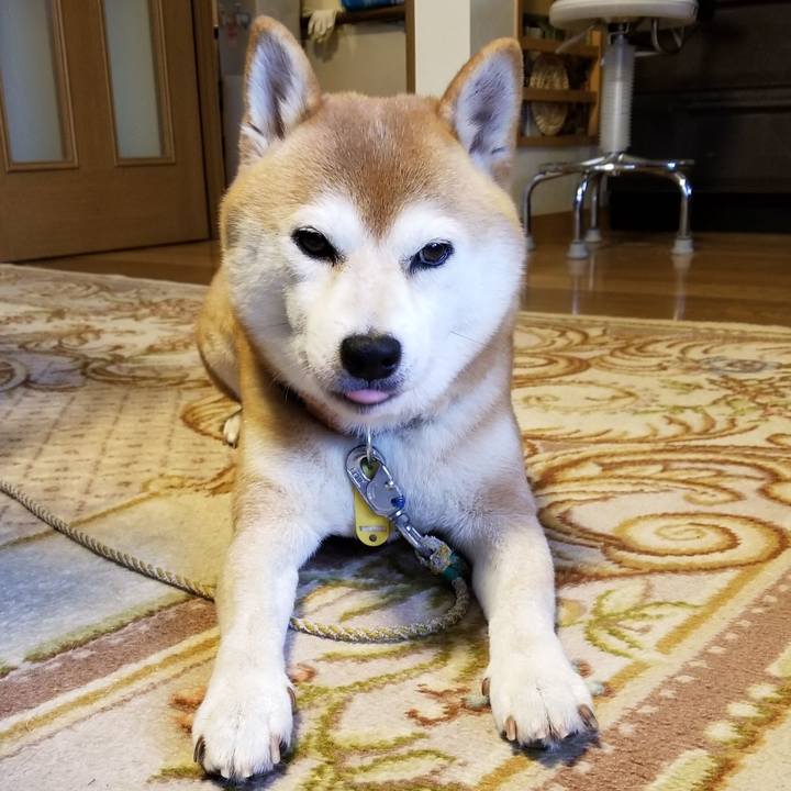 9224b322 33f0 4bd1 8cfe 1fe9cb72d77b 1566969449773