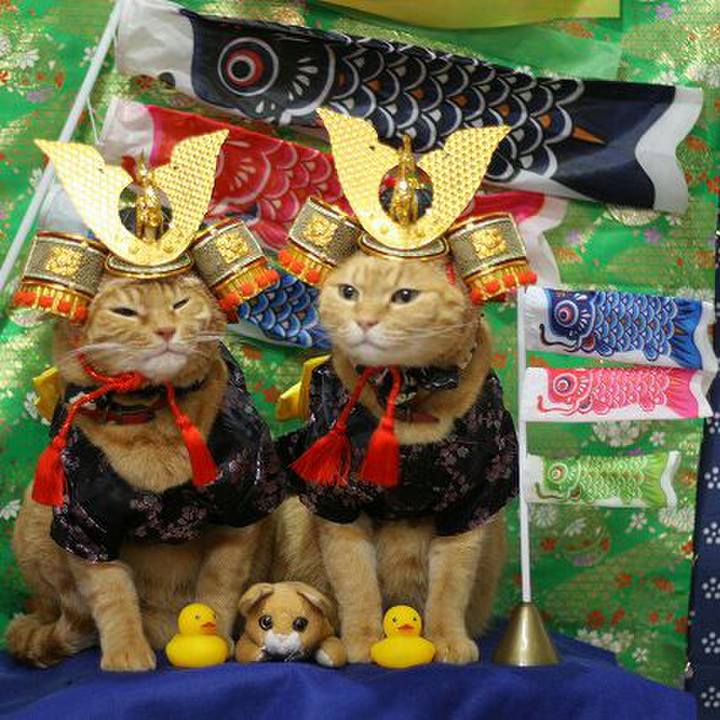 9224bed1 ef37 4da2 bc7d 8b04df970f77 1525507334780