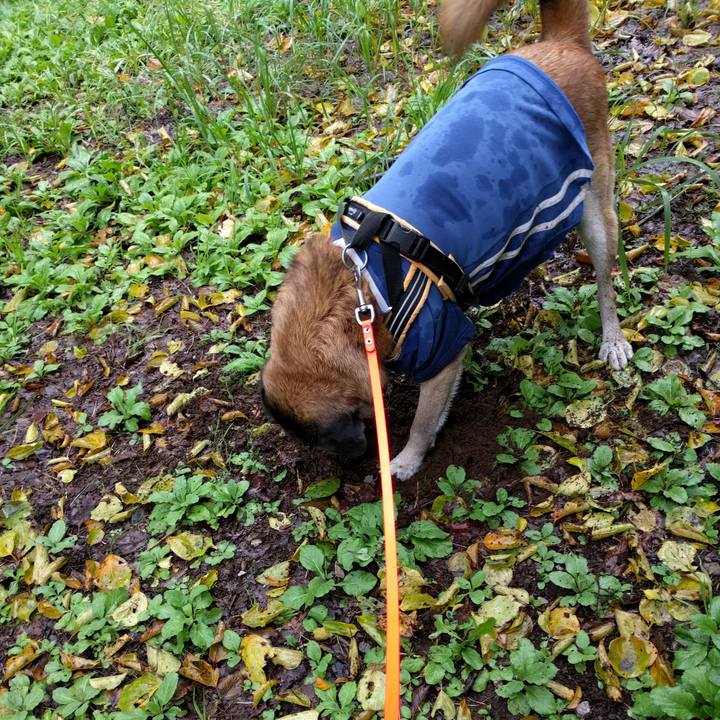 92250879 19ac 4e2f 8cda fe71daa8317a 1508199674980