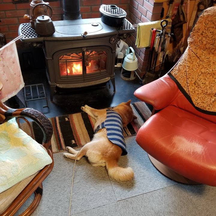 9225a313 6dba 4ea7 9fe0 ec67e53826e5 1579477317500