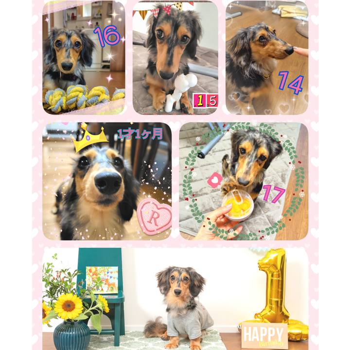 9225a8b6 70a5 455a 94e8 f7e7f5c0c6f7 1735864136725