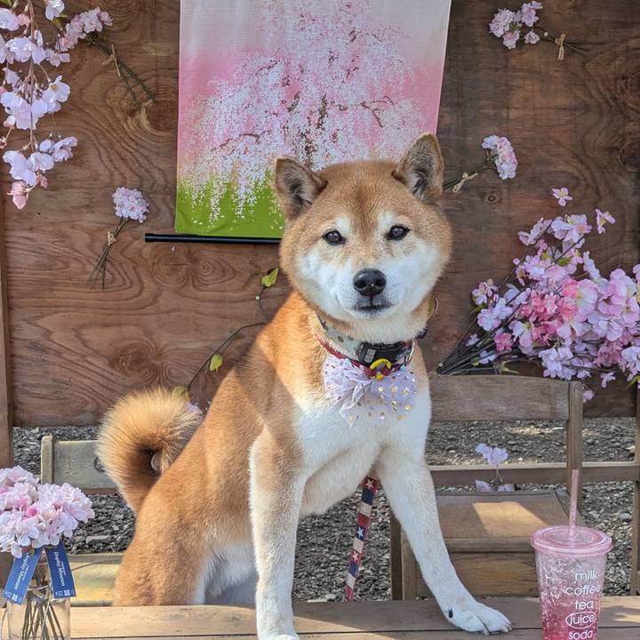 9225b2ad 3ce0 4ec5 a150 6cab4084eb7d 1741588149083