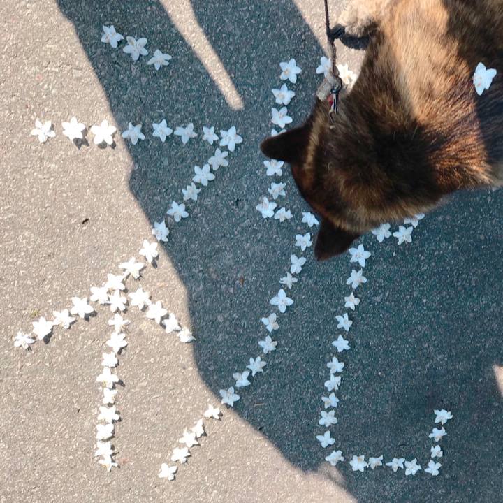 9225ba6a ab40 4872 9d3c cfc717a5d7af 1528330891053