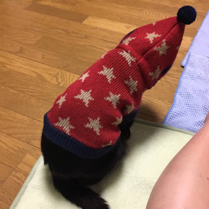 9225c905 b47b 4582 848d 00163f5260b4 1539869094808