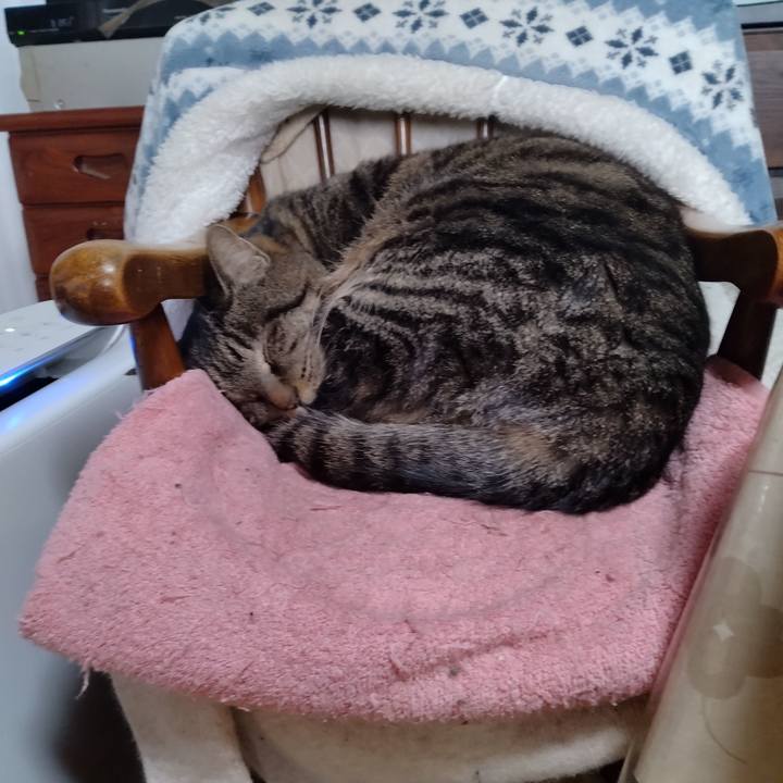 9225d2e9 8fe0 47d8 8935 2572ce8070bb 1675491077354