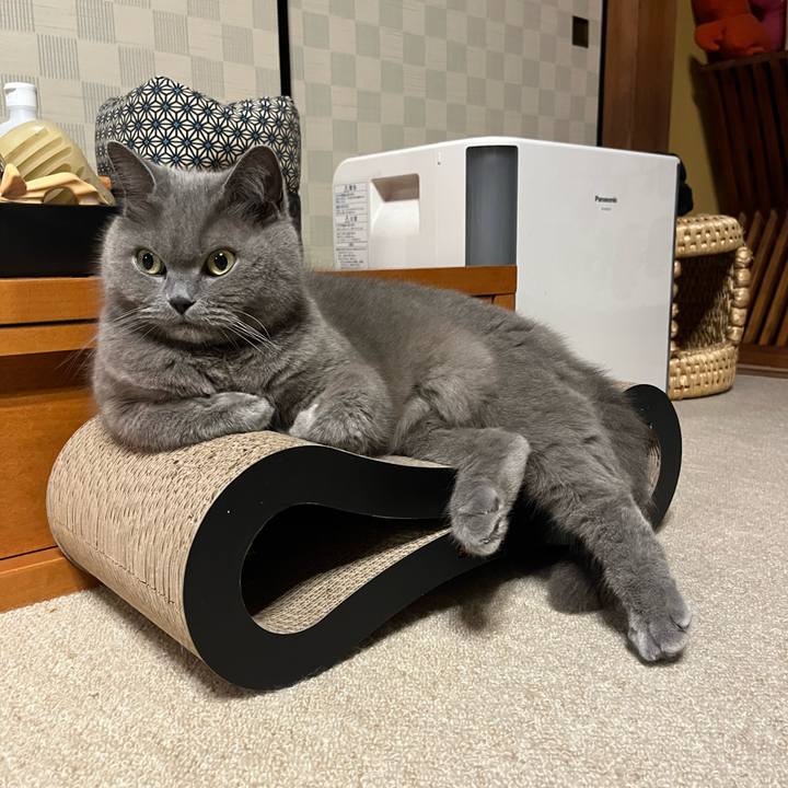 922629e2 d407 43d5 a6e5 94821d79bc81 1652880904572