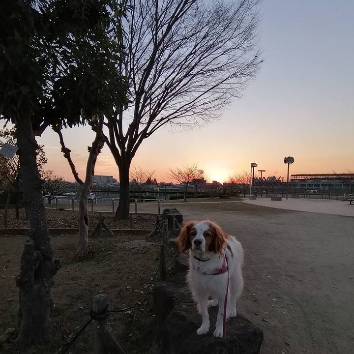 92262b35 28c3 4e94 8aec aa2f741aac32 1607506787645