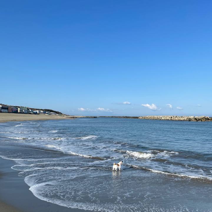 922652a1 c641 4fe0 a9a1 accbb736a8e7 1618439744295