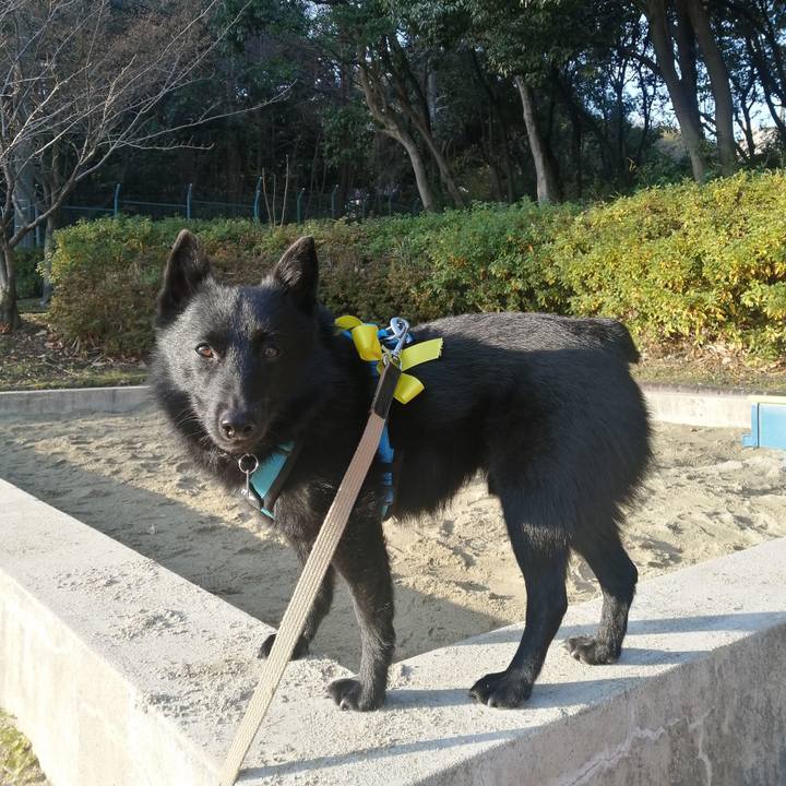 922669b0 6657 440f a48d 818be21cf243 1641771412719