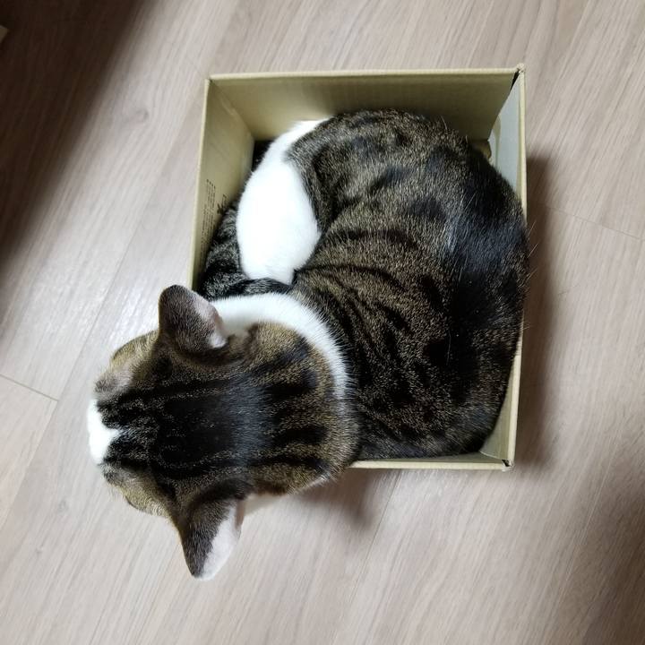 92269891 fd8c 4d56 b388 842c5fd29c06 1612865570937