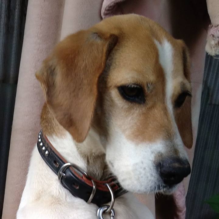 922702c5 6b8a 4843 b488 5166d0c74e40 1655708463843