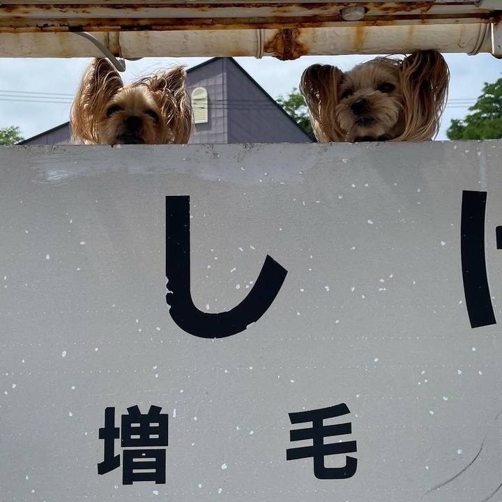 92274112 e6c4 464b b96a 777df18563ef 1627122593181