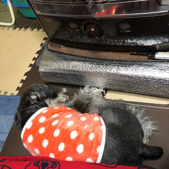 92275adc fee8 44d6 afcf eb0c71a13828 1701776859522