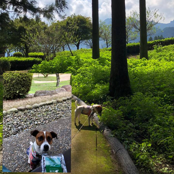 922774c0 1d81 458a acaa 737390dad828 1600742776131