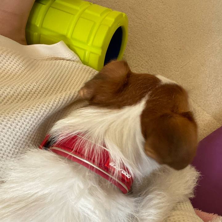 922796db 5a7f 46ce 908d 8c383c867762 1649595012517