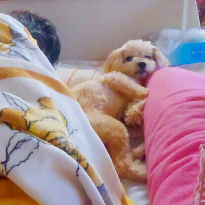 9227b3c2 c99c 4fab 977b 39d3f47d66b5 1530785684804