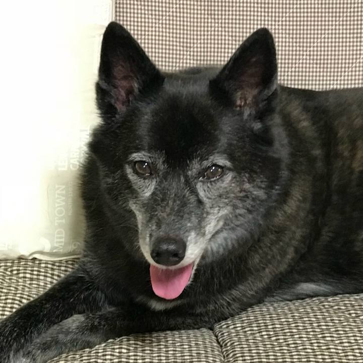 9227b442 3da6 4d57 abad 64deb8b6f747 1535118316922