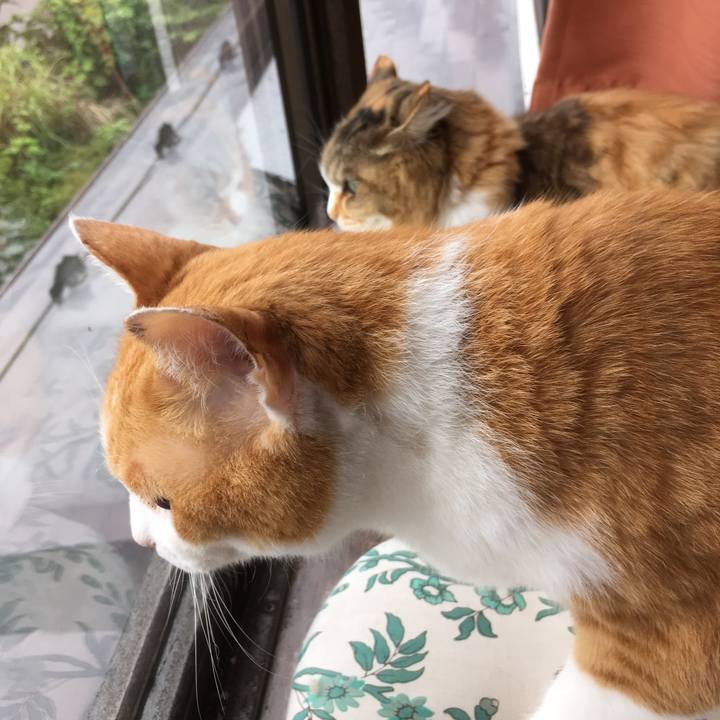 922860d5 ae9f 498c 8d9e 236b06015545 1562653178494