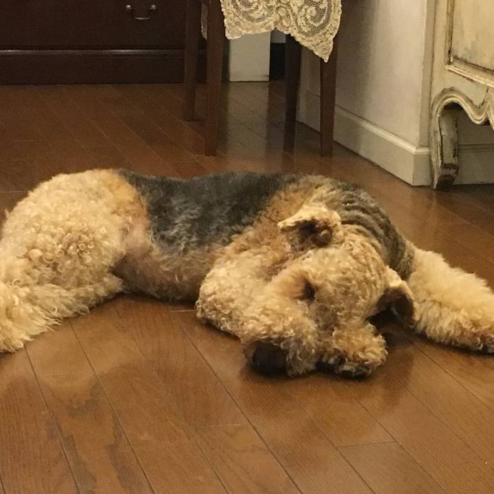 92289510 e67b 4f65 9259 5703724b84a5 1568662744619