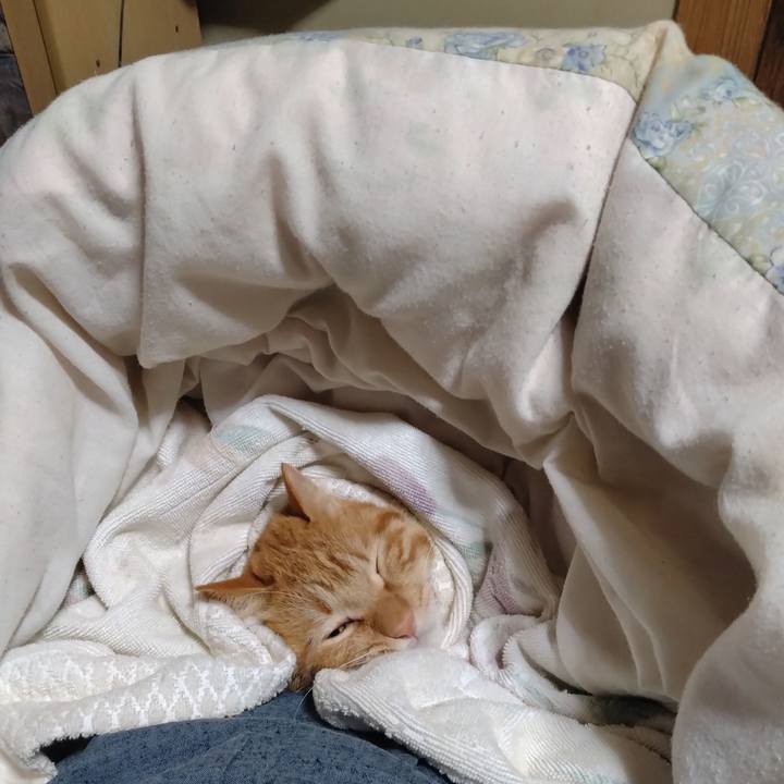 92289be9 5b8e 457a ae52 cddc30185d84 1707741099593