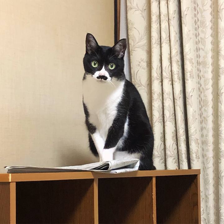 9228c7c0 c45c 4fa3 a6a9 30666e1cb809 1566310093949