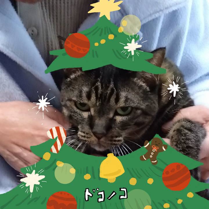 9228fb29 8417 41c1 84ef 2e53f000dd81 1761479399109