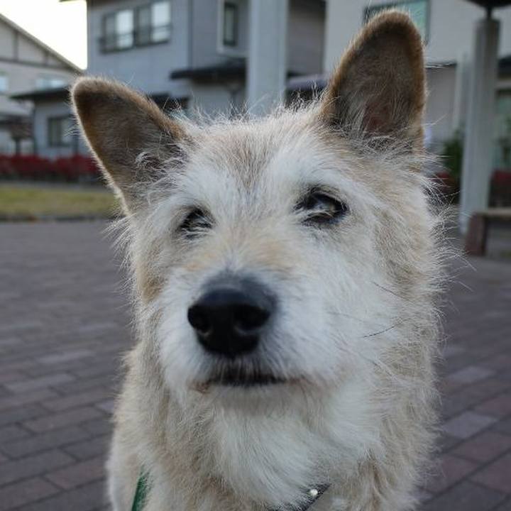 92291411 26b2 4268 acf3 fccb4ecbc523 1576222177457