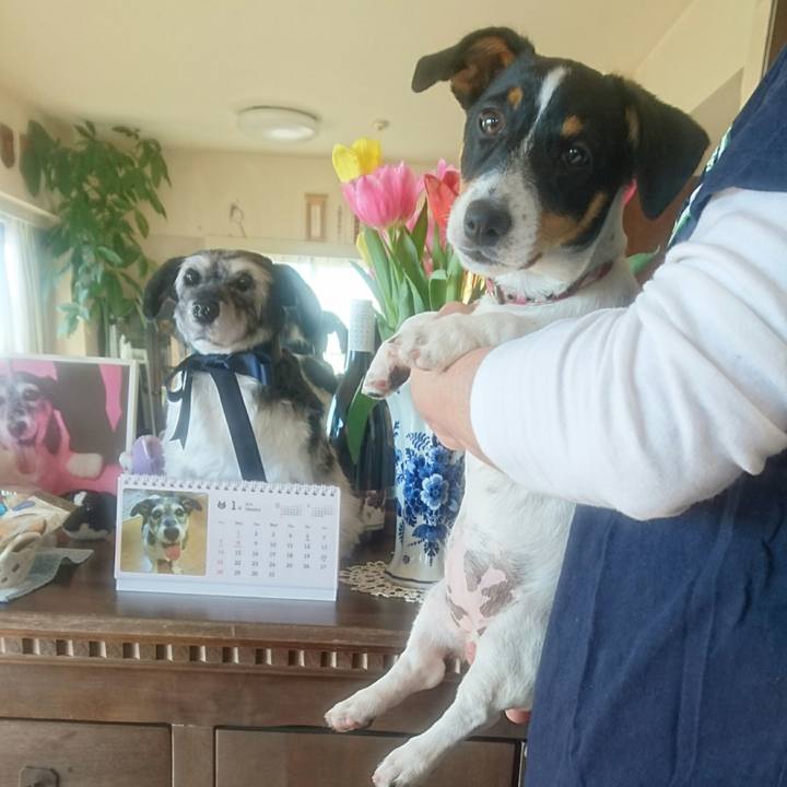 92296316 7d0d 420c 8938 1abe6c2a19bb 1514768608378