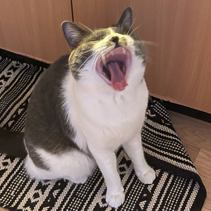 922973c1 94f0 4c81 b543 4b05de4fec09 1658621561987