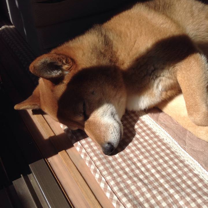 9229a166 3f04 4ad9 b23d 7f60338a1260 1521262228705