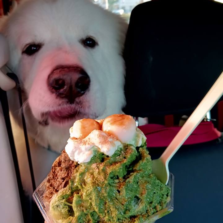 9229b720 22a7 48d6 9da9 b9ab1f0137f2 1722684245917