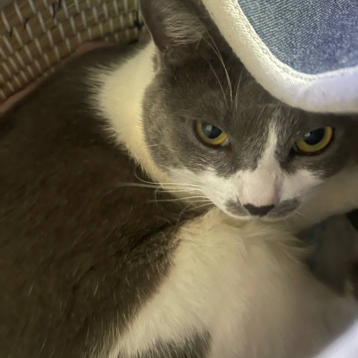 9229f933 7427 415a a75b ec66b10bbe24 1716856278366