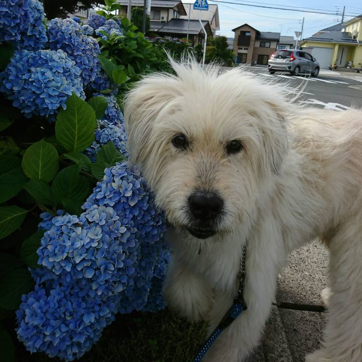 922a0154 6765 4b7e b160 57ac93185ed9 1562626773684