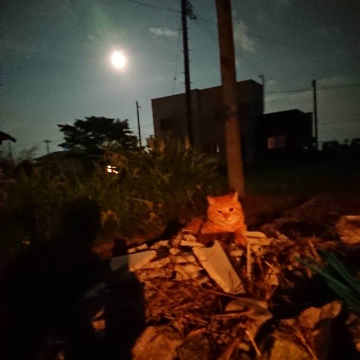 922a32b7 cb4e 4d0a bb42 edf14392c765 1660217884776