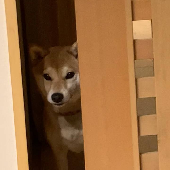 922a3698 b412 4d44 b473 2d5be48ad942 1642758990415